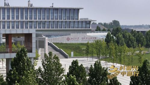 央视乡村振兴中国行 科技赋能乡村，叫响潍坊模式与海东科技的融合之路